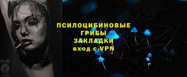 PSILOCYBIN Алексеевка