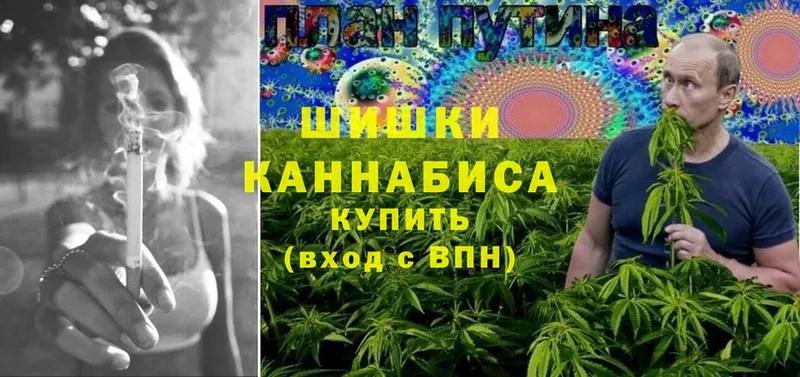 Бошки марихуана Ganja  где купить   Дальнегорск 